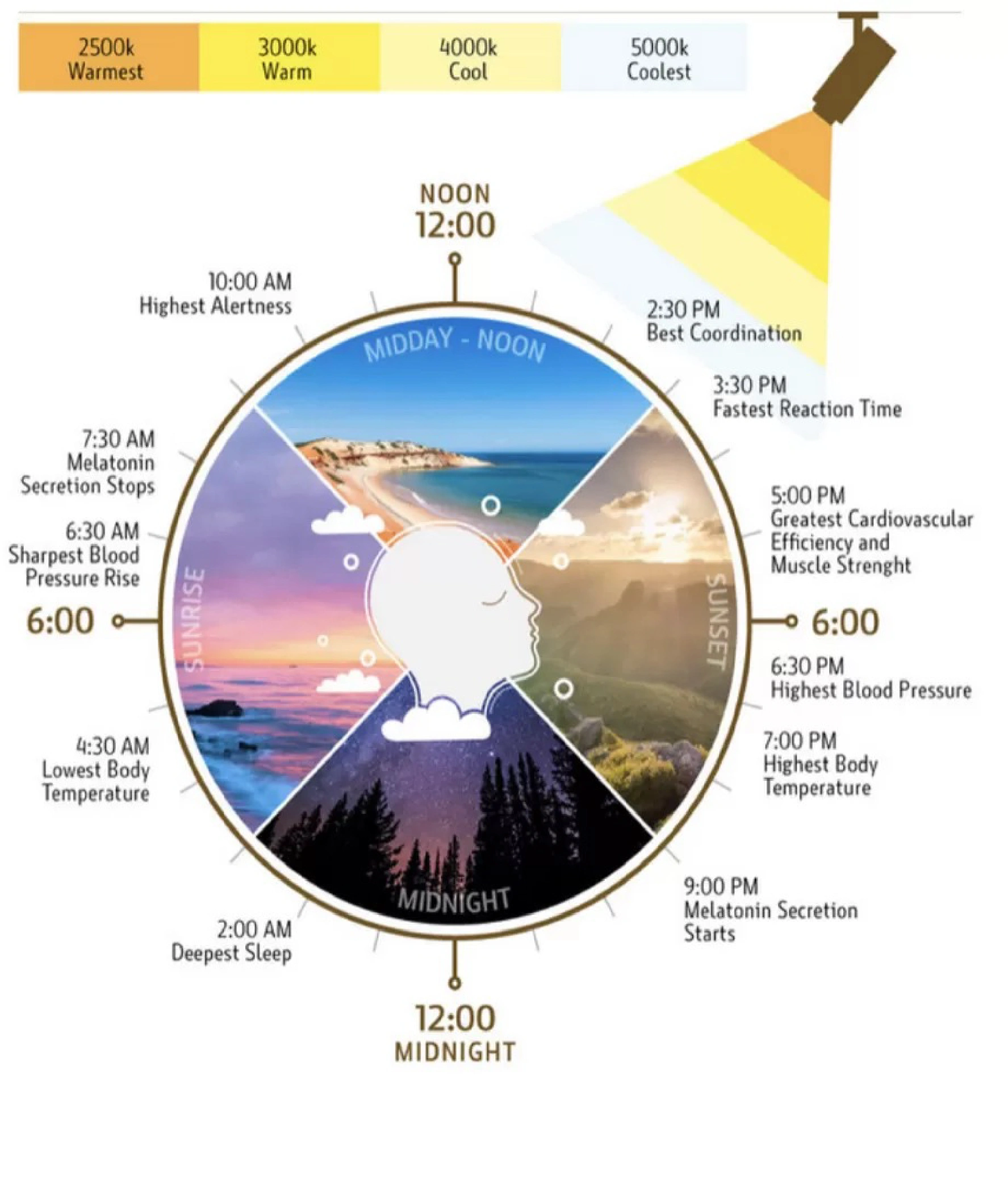 Circadian Rhythm Lighting